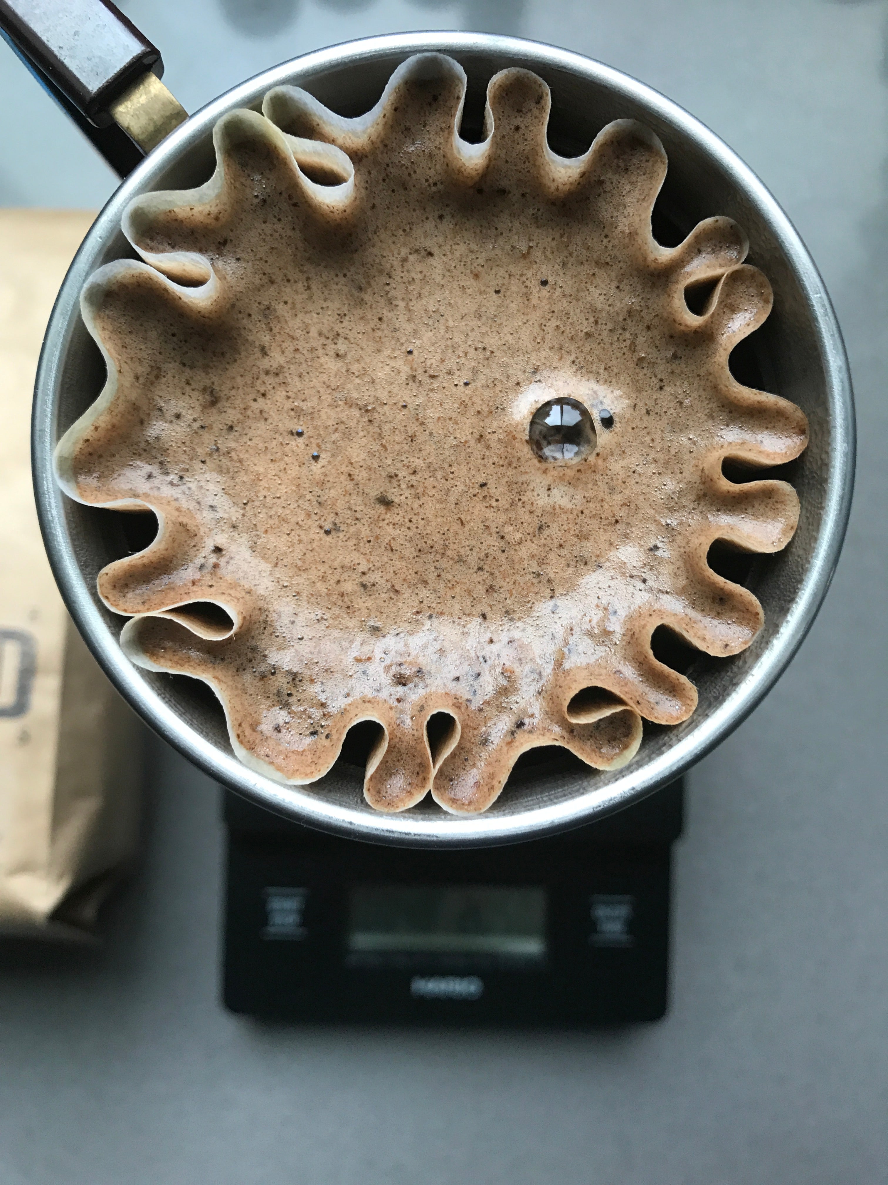 Kalita Wave